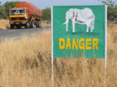 one-original-travel-guide-benin-afrique-voyage-danger-elephant