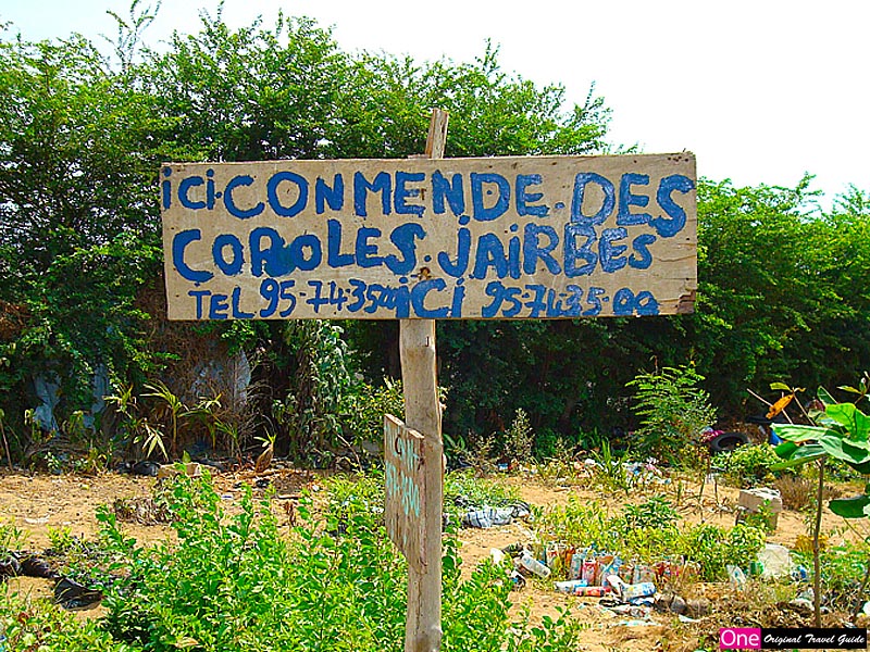 Fleuriste "Ici commende coroles jairbes" Cotonou - Bénin