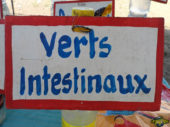 Verts Intestinaux - Potion Magique - Hévié - Bénin