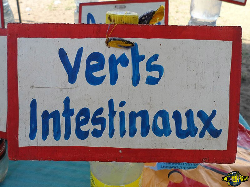 Verts Intestinaux - Potion Magique - Hévié - Bénin