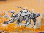 Tortue peinte graffiti