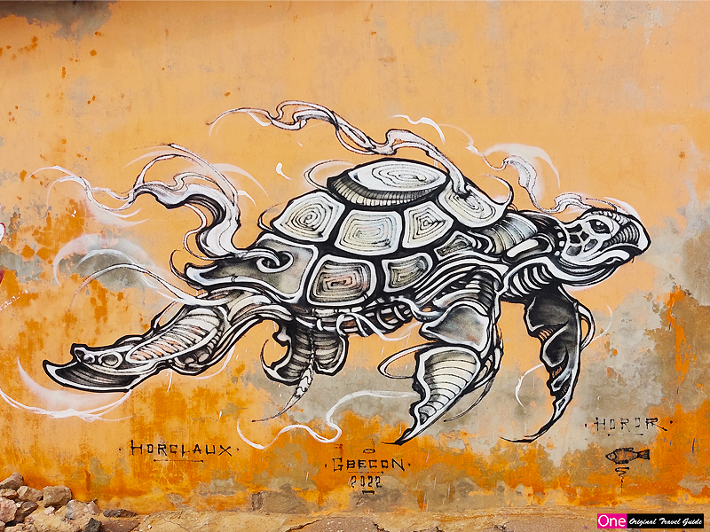 Tortue peinte graffiti